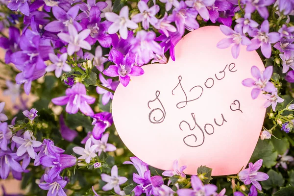 Valentine greeting card on the flowers of Campanula. — Stock Photo, Image