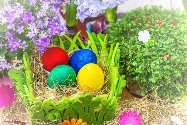 Kleurrijke Pasen eieren in nest — Stockfoto