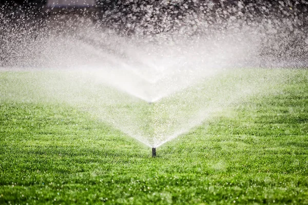 Sprinkler sul campo di erba — Foto Stock