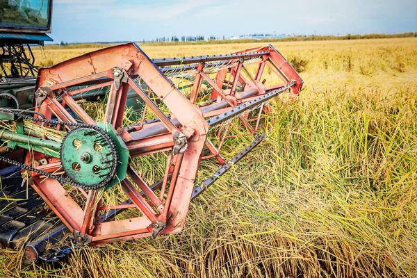 Rice reaping with harvester machine — Stock Photo, Image