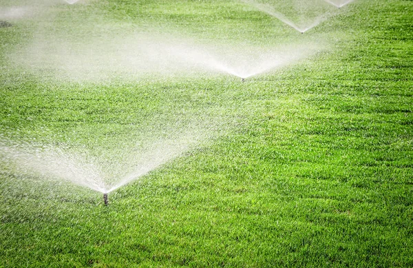 Sprinkler auf dem Rasenplatz — Stockfoto