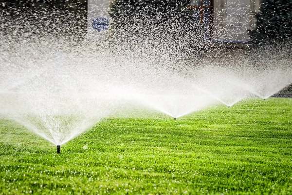 Sprinkler on the grass field — Stock Photo, Image