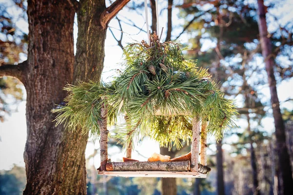 Mangeoire à oiseaux en hiver — Photo