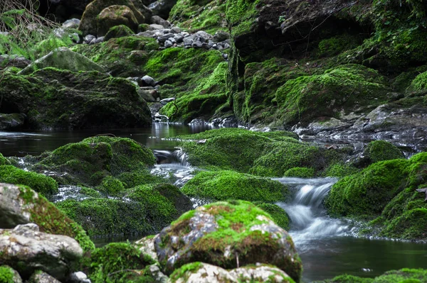 Yeşil kaya akışta görüntülemek 