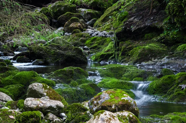 Yeşil kaya akışta görüntülemek 