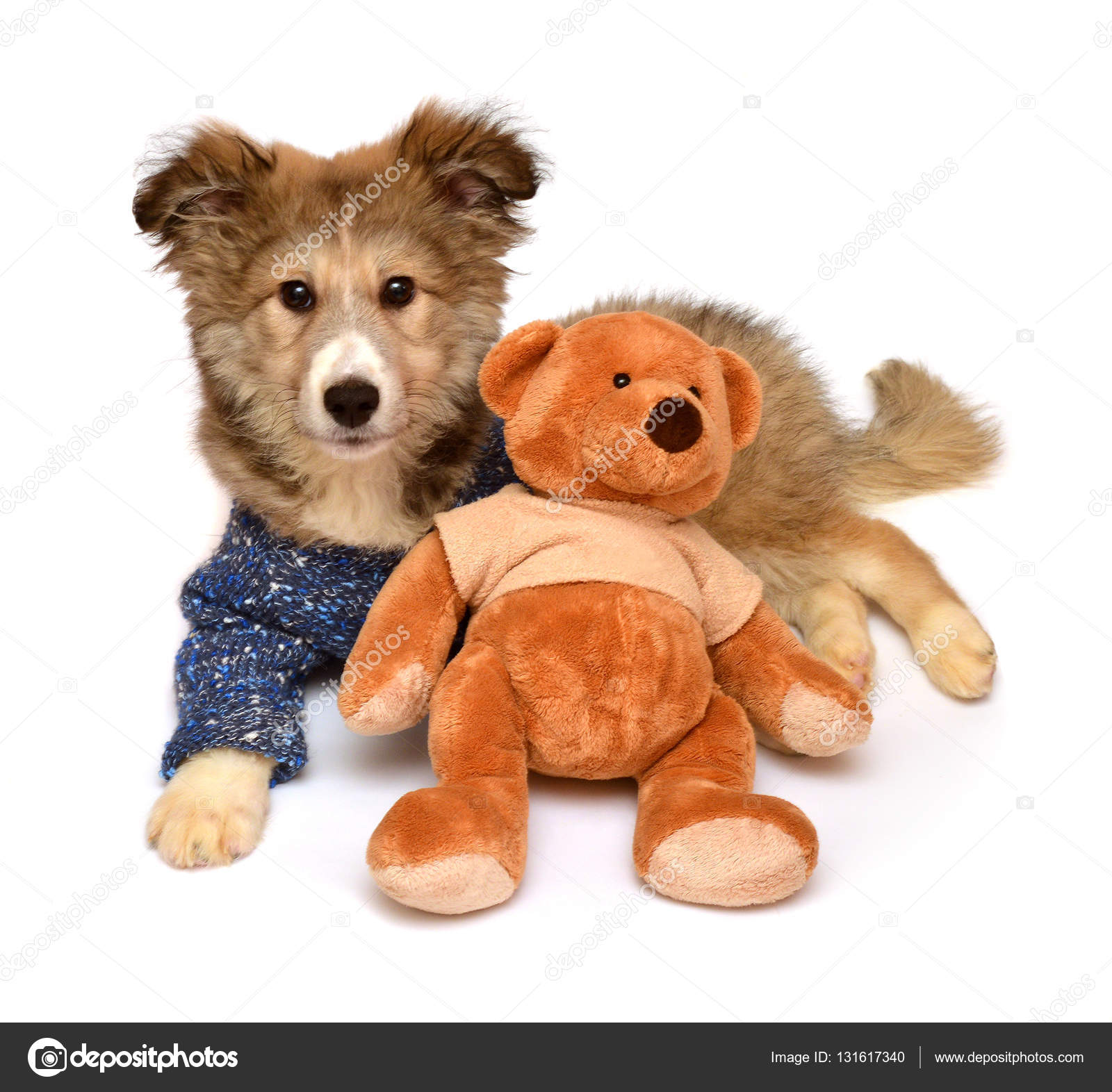 puppy and teddy bear