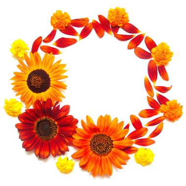 Kırmızı çiçekli çerçeve