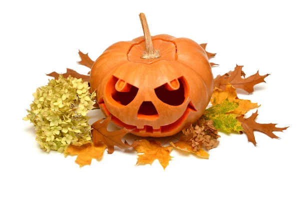 Fasansfulla Halloween pumpa — Stockfoto