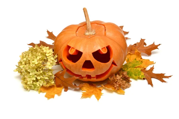 Horrendous Halloween Pumpkin — Stock Photo, Image