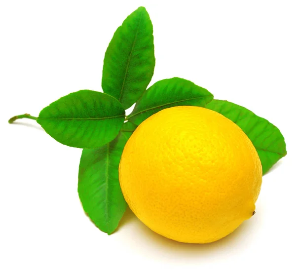 Ripe lemon with green leaves — Stock Photo, Image
