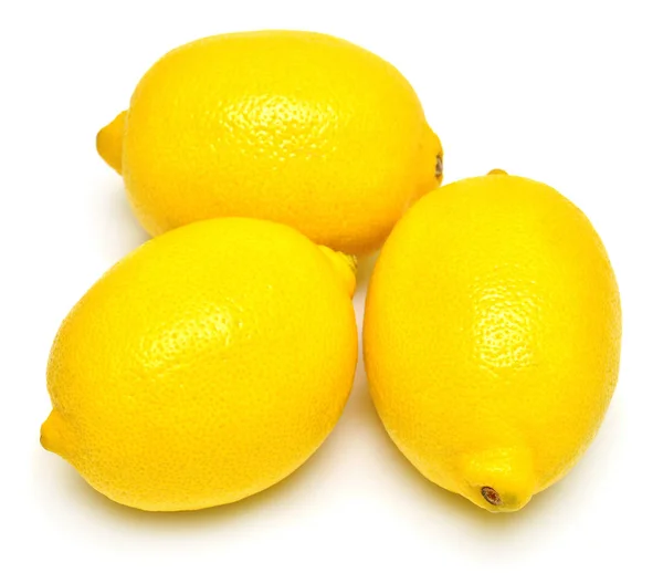 Tropiska mogna citroner — Stockfoto
