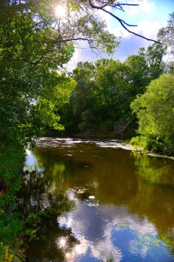 bulutlar ve nehir suya yansıtan ağaçlar