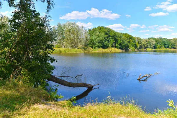 gökyüzü ve nehir suya yansıtan ağaçlar