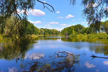 gökyüzü ve nehir suya yansıtan ağaçlar