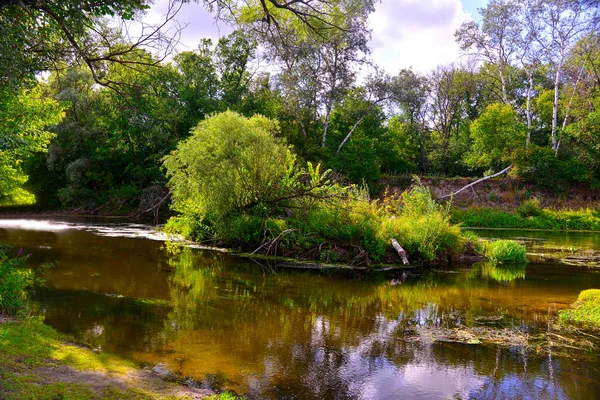 bulutlar ve nehir suya yansıtan ağaçlar