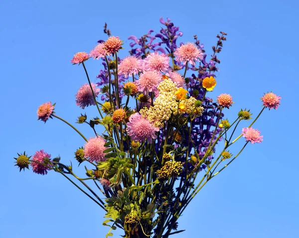 Belo buquê de ervas e flores selvagens — Fotografia de Stock