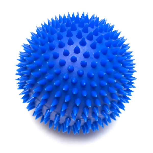 köpek için mavi top