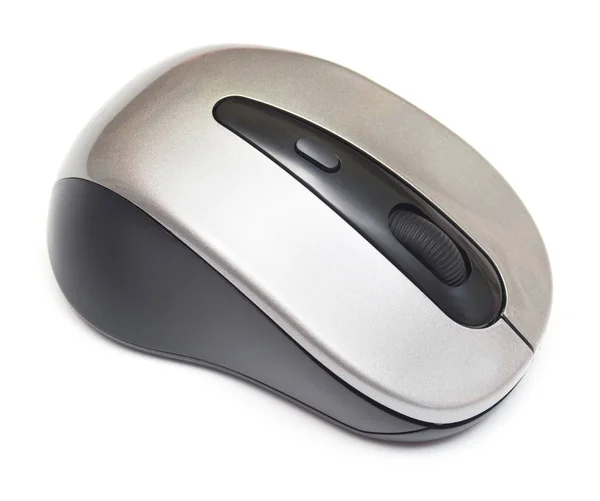 Gray Computer mouse — Stock Photo, Image