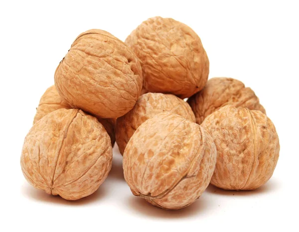 Dry walnuts in shells — Stock Photo, Image