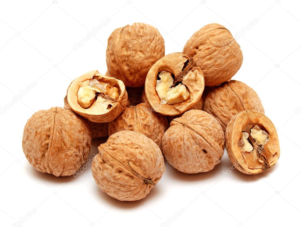 Dry walnuts in shells 