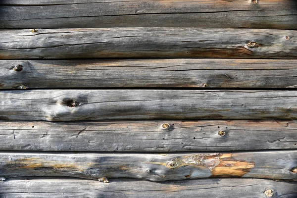 Tekstura drewnianego ogrodzenia — Zdjęcie stockowe