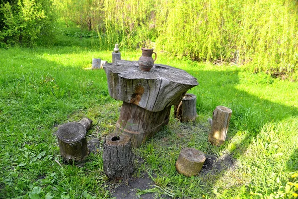 Ceppo di un albero e Glechik — Foto Stock