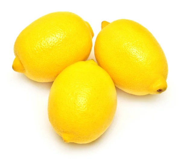 Коллекция из трех лимонов — стоковое фото