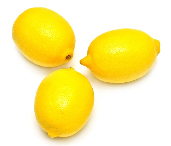 3 레몬의 컬렉션 — 스톡 사진