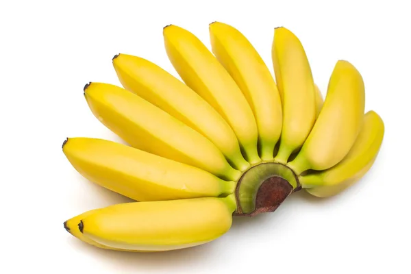 Букет Дитячих Бананів Ізольований Білому Тлі Плоский Прошарок Вид Зверху — стокове фото