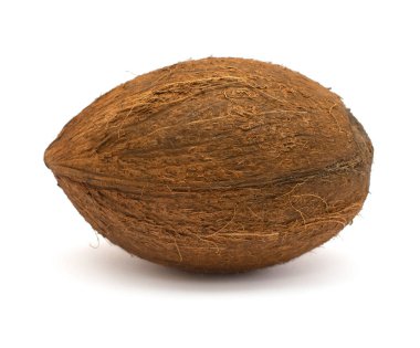 Beyaz arka planda tek bir hindistan cevizi var. Tropik meyve. 