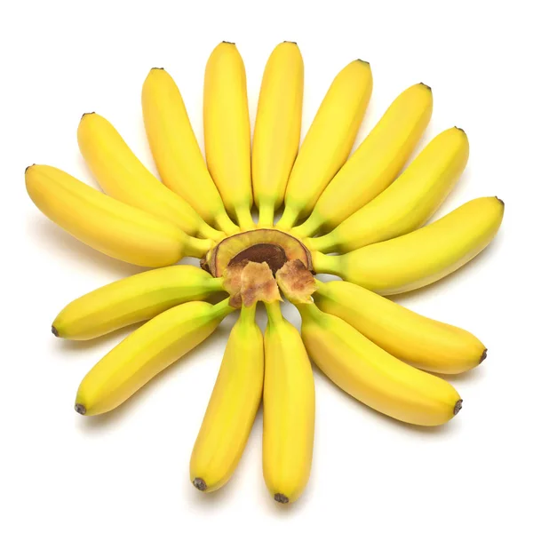 Створена група дитячих бананів ізольованих на білому тлі. Фла — стокове фото