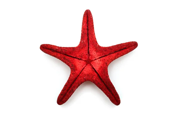 Estrella de mar roja aislada sobre fondo blanco. Concepto creativo, mar — Foto de Stock