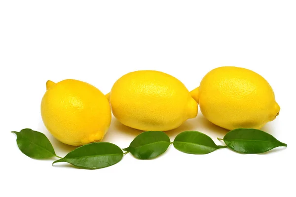 Lemons with leaves isolated on white background. Flat lay, top v — Stock Photo, Image