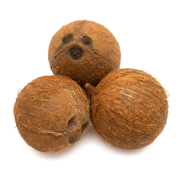 Drie kokosnoten geheel geïsoleerd op witte achtergrond. Tropisch fruit — Stockfoto