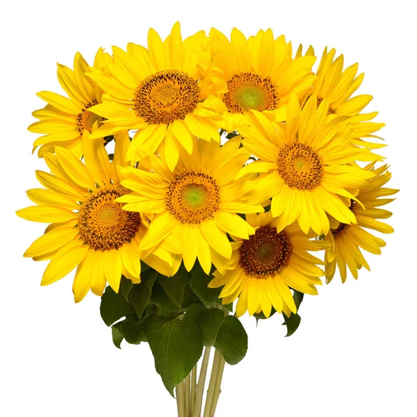 Flower bouquet sunflowers isolated on white background. The seed
