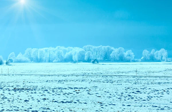 Inverno nebuloso e sol paisagem . — Fotografia de Stock