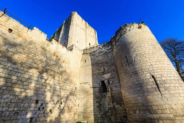 Chateau de Loches — стокове фото