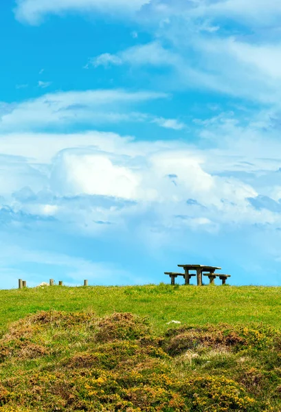 Dinlenme yaz çiçek açması tepe üzerinde yer. — Stok fotoğraf