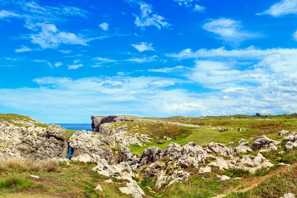 Plaats van rust aan de kust van de zomer. — Stockfoto