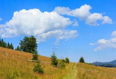 Yaz dağ manzarası (Karpat, Ukrayna).