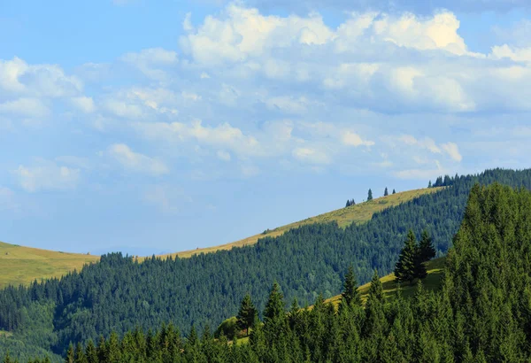 Zomer bergzicht (Karpaten, Oekraïne). — Stockfoto