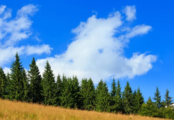 Zomer berghelling (Karpaten, Oekraïne). — Stockfoto