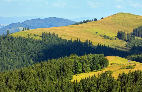 Verano vista a la montaña (Cárpatos, Ucrania ). — Foto de Stock