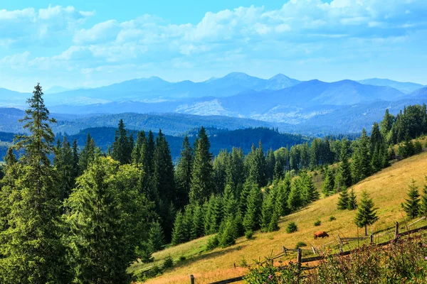 Summer mountain country view (Carpathian, Ukraine). — Stock Photo, Image