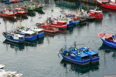 Teknelerin balıkçı limanı, Luarca, İspanya.