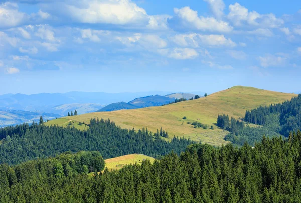 Verão vista montanha (Cárpatos, Ucrânia ). — Fotografia de Stock