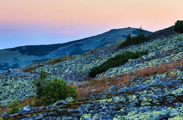 Verano amanecer vista montaña (Cárpatos, Ucrania ). —  Fotos de Stock