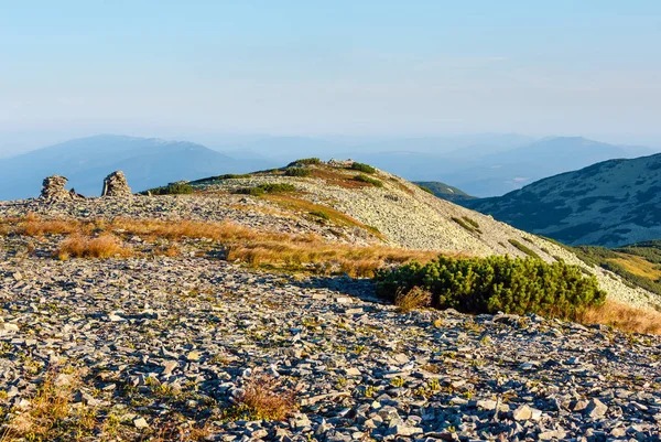 Verano mañana vista a la montaña (Cárpatos, Ucrania ). —  Fotos de Stock