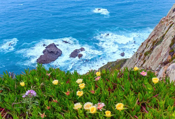 Flores de plantas de hielo en la costa . — Foto de Stock