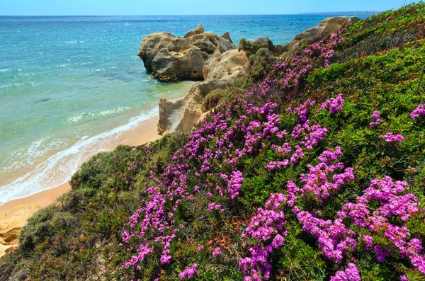 Atlantic kvetoucí pobřeží pohled (Algarve, Portugalsko). — Stock fotografie